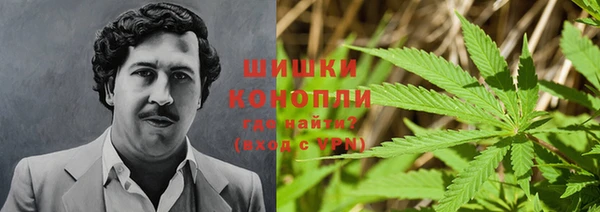 трава Богородицк