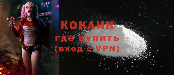 ПСИЛОЦИБИНОВЫЕ ГРИБЫ Богданович