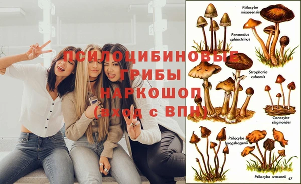 амф Белоозёрский