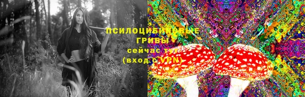 дживик Белокуриха