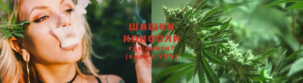 дживик Белокуриха