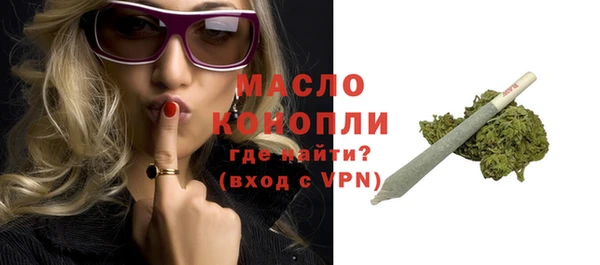 гидра Богородск