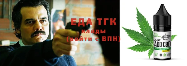 гидра Богородск