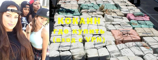 ПСИЛОЦИБИНОВЫЕ ГРИБЫ Богданович