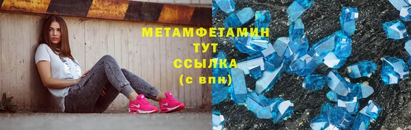 ПСИЛОЦИБИНОВЫЕ ГРИБЫ Богданович
