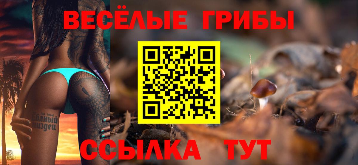 COCAIN  Меф МЯУ МЯУ кристаллы  Цена  Меф кристаллы  Вятские Поляны  Каннабис  ГАШ 